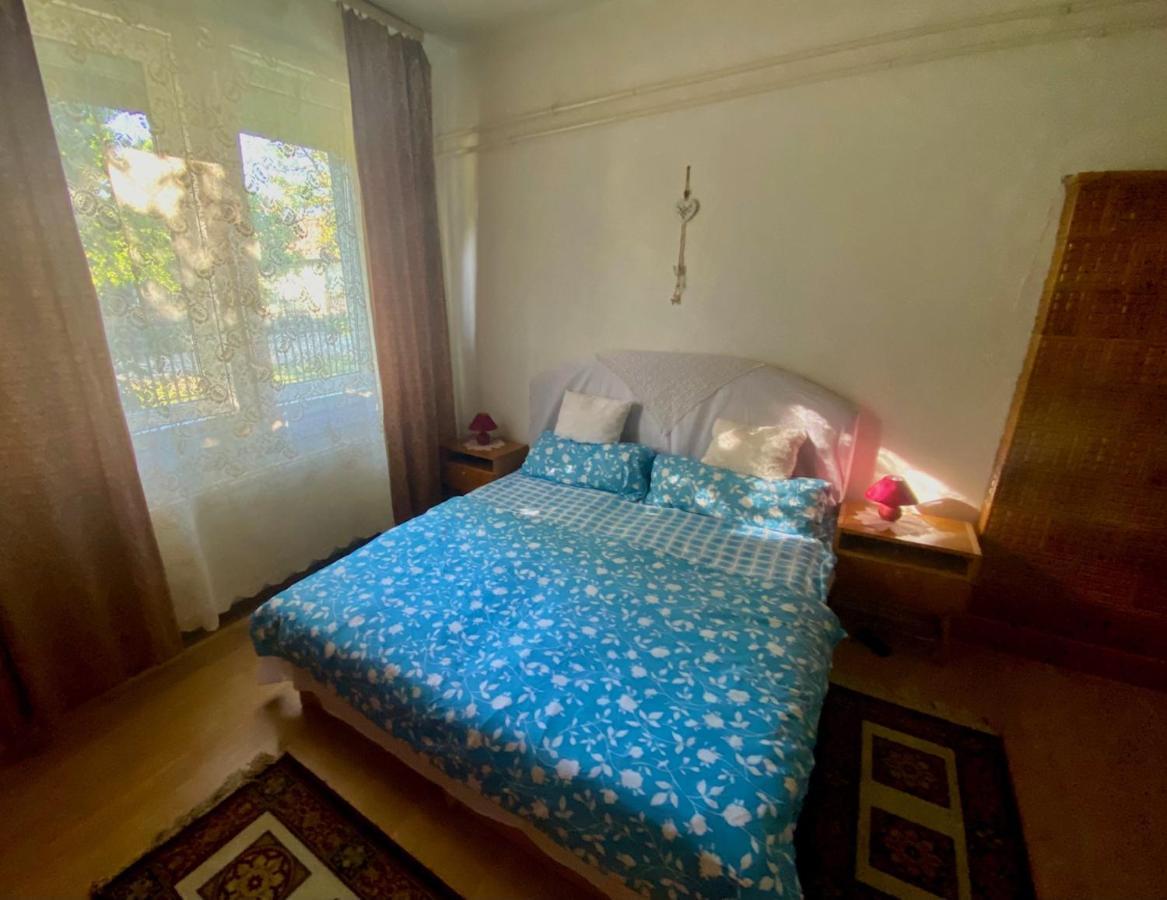Grany'S Retro Guesthouse Near Budapest Airport Vecsés Dış mekan fotoğraf