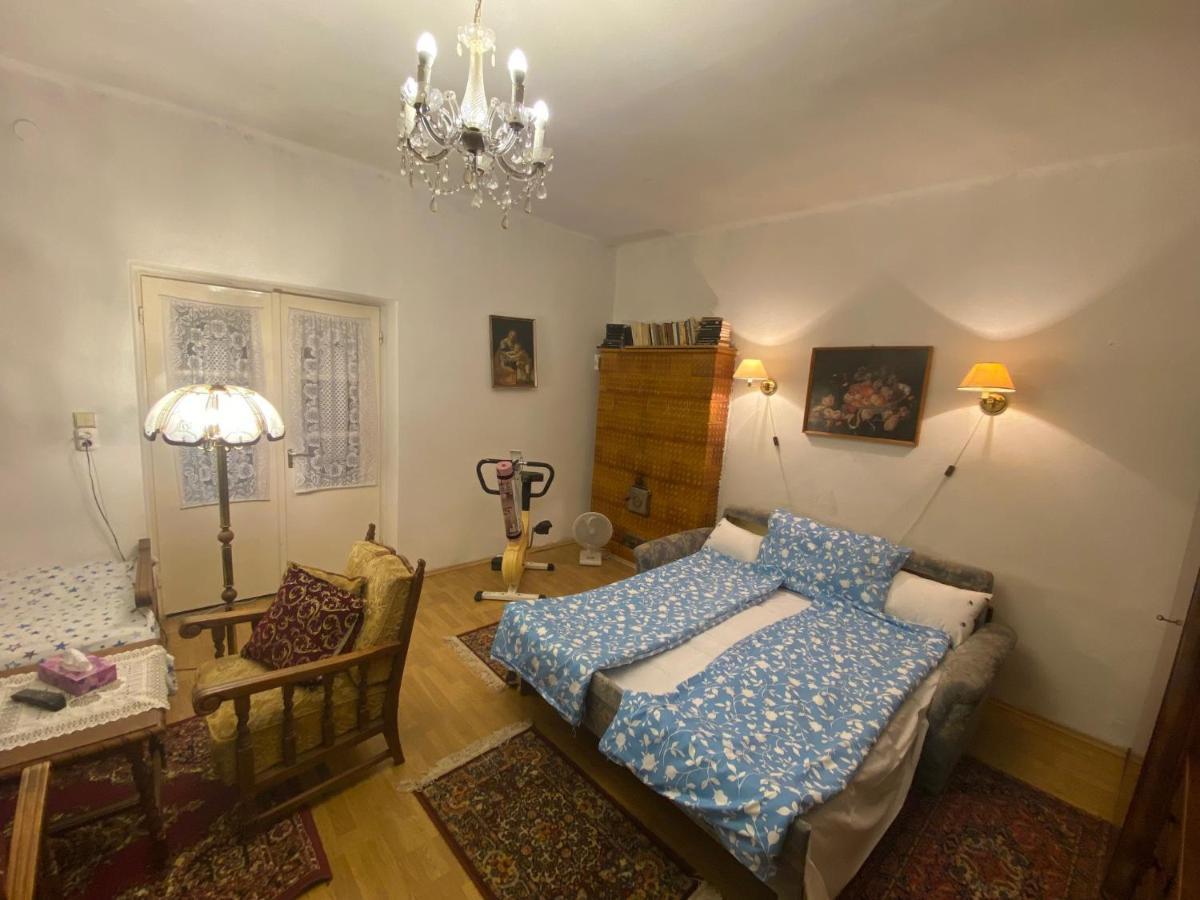 Grany'S Retro Guesthouse Near Budapest Airport Vecsés Dış mekan fotoğraf