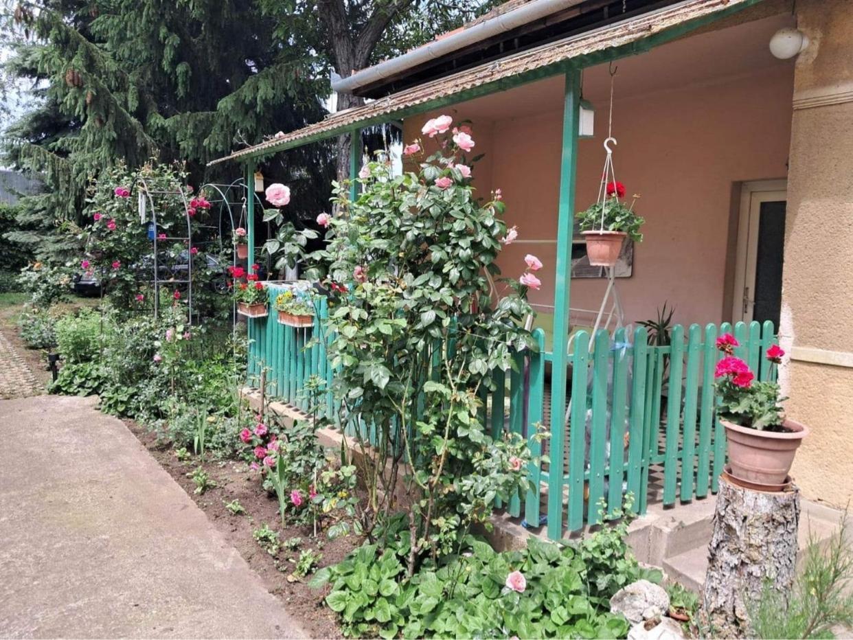 Grany'S Retro Guesthouse Near Budapest Airport Vecsés Dış mekan fotoğraf